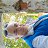 ���� �������, ������, 66 ��� - ��������� 15 ���� 2025