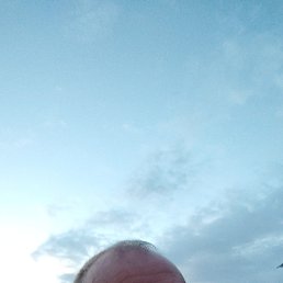 , 43, 