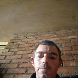 , 28, --