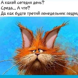 ���������, ������ ��������, 47 ���