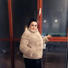 ���� �����, ����������, 44 ���� - ��������� 5 ������ 2024