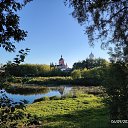  , , 49  -  21  2025   .  ( )