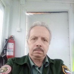 , 61,  