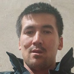 Tim, �������, 25 ���