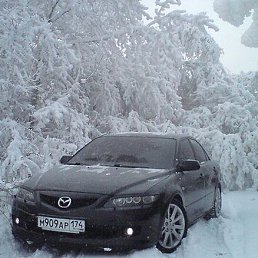 �������, ������, 38 ���