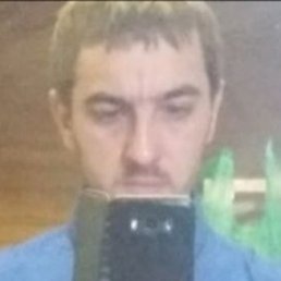 ��������, ���������, 41 ���