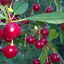 ���� ��������, ����������, 60 ��� - ��������� 10 ������ 2023