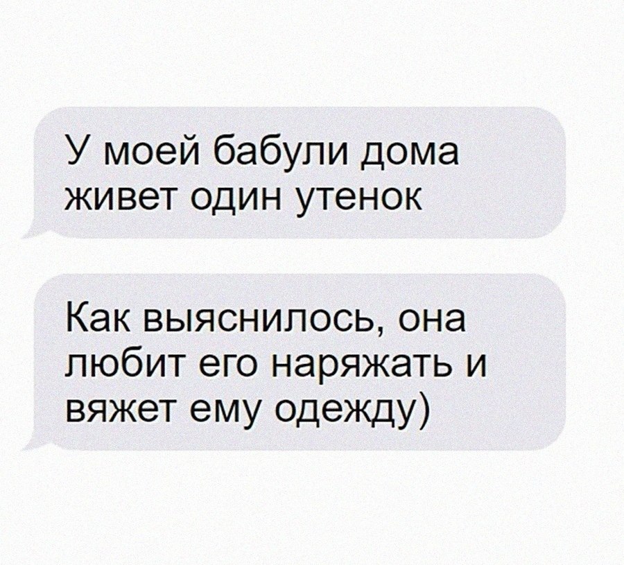 Какой хорошенький!
