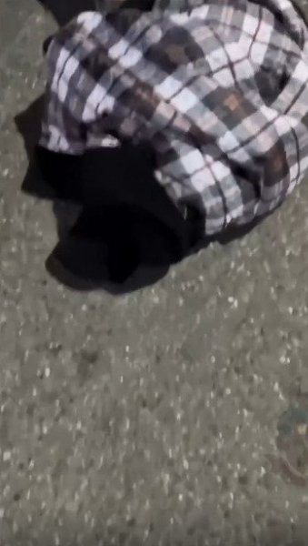 ���� ����� �e����� �a o��a� �o��a�o����c� � pac�o�ape. pac�o�ape ������a �a�a� �a �e����� �oc�e ... - 2