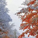 ���� ��������, ���������� - ��������� 13 ������� 2023 � ������ ���� ����������