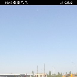 ���� ����, ����, 41 ��� - ��������� 24 ����� 2026