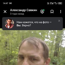 ���� ���������, �������, 55 ��� - ��������� 19 �������� 2024