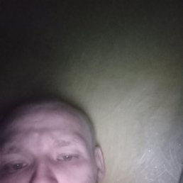  , 31 , 