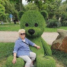 , 62, 