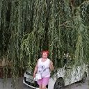 ���� �������, ������ - ��������� 6 ������� 2025 � ������ ���� ����������