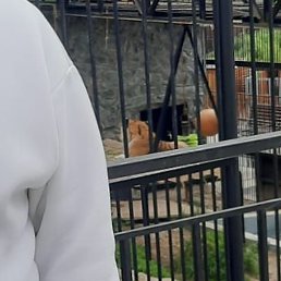 ����, ����, 42 ����