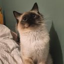 ���� Tina*, �������, 55 ��� - ��������� 20 ������ 2025 � ������ ������ ��������