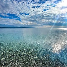 �������, ��������