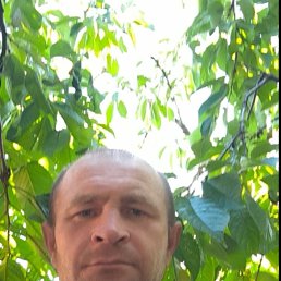 , 41, 