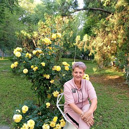 , 56, 