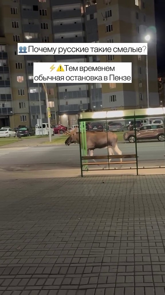 � ��� ��� ������