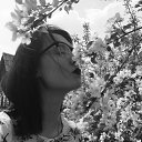 ���� ���������, ������, 24 ���� - ��������� 13 ������ 2024