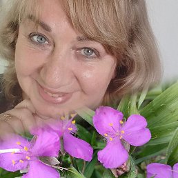 �����, ���������, 53 ����