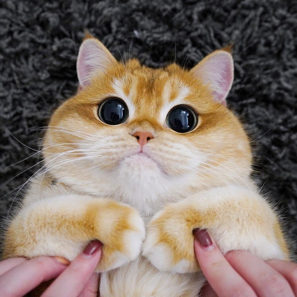 ����� ��������) - 3