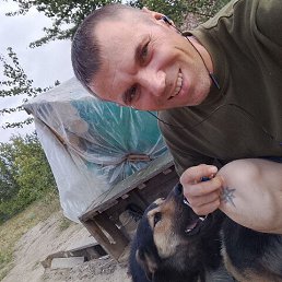 ���� �������, ����-���, 40 ��� - ��������� 31 ������� 2025