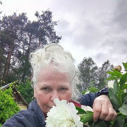 �������, �����������, 62 ����