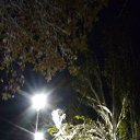 ���� ������, ���������, 64 ���� - ��������� 27 ������ 2023 � ������ ������ ��������