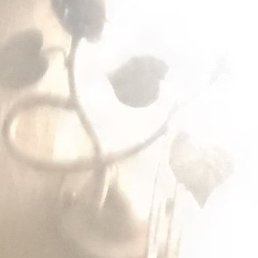 , , 38 