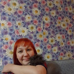 , 37,  