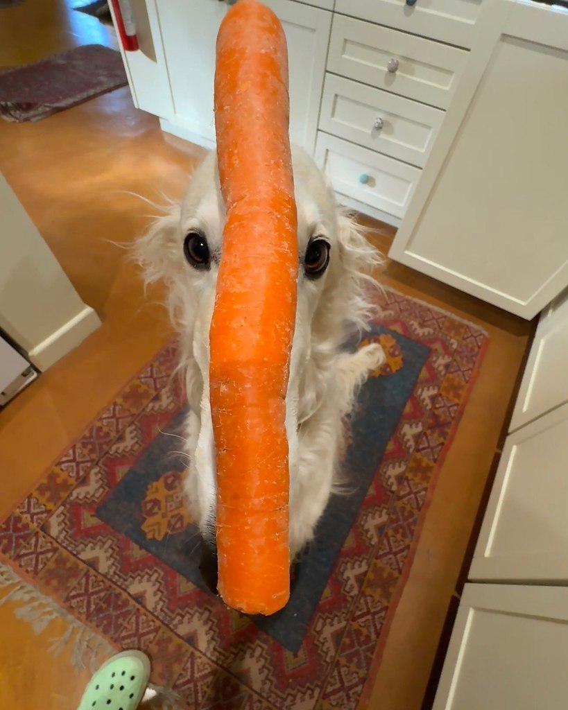 ,  