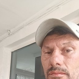, 43 , 