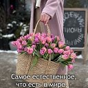 ���� ���, �������� - ��������� 4 ����� 2026 � ������ ������ ��������