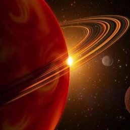 �����, �������, 46 ���