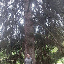 �������, ������, 45 ���