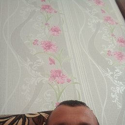 , 33, 