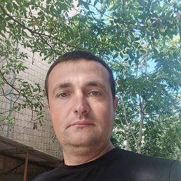 , 33 , 