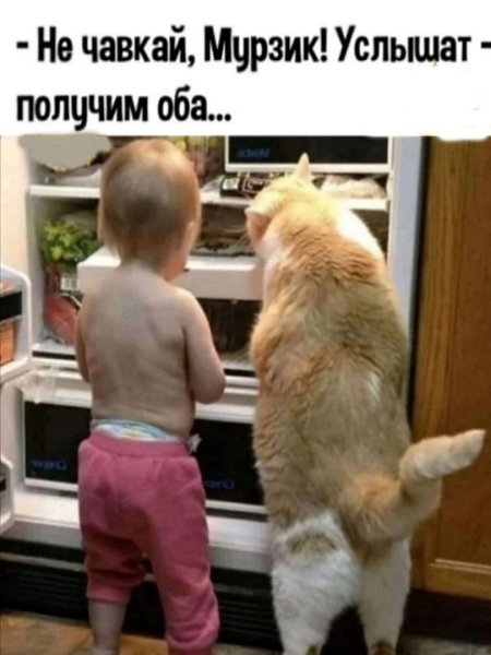  - 10  2025  05:21
