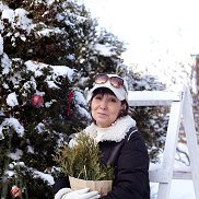 ����, , �����