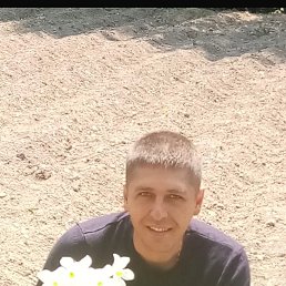 �������, 41 ���, ����-���������