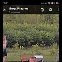 ���� �����, ��������, 52 ���� - ��������� 5 ���� 2026 � ������ ���� ����������