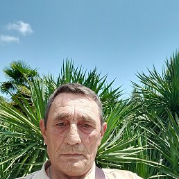 , 62 , 