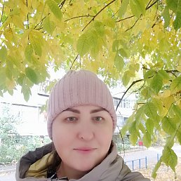 ����, 41 ���, ���������