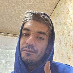 , 29, 