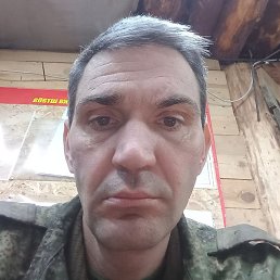 �����, ��������, 41 ���