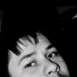 ���������, 34 ����, ������������