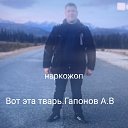 ���� ������, ����, 40 ��� - ��������� 11 ������ 2026 � ������ ���� ����������